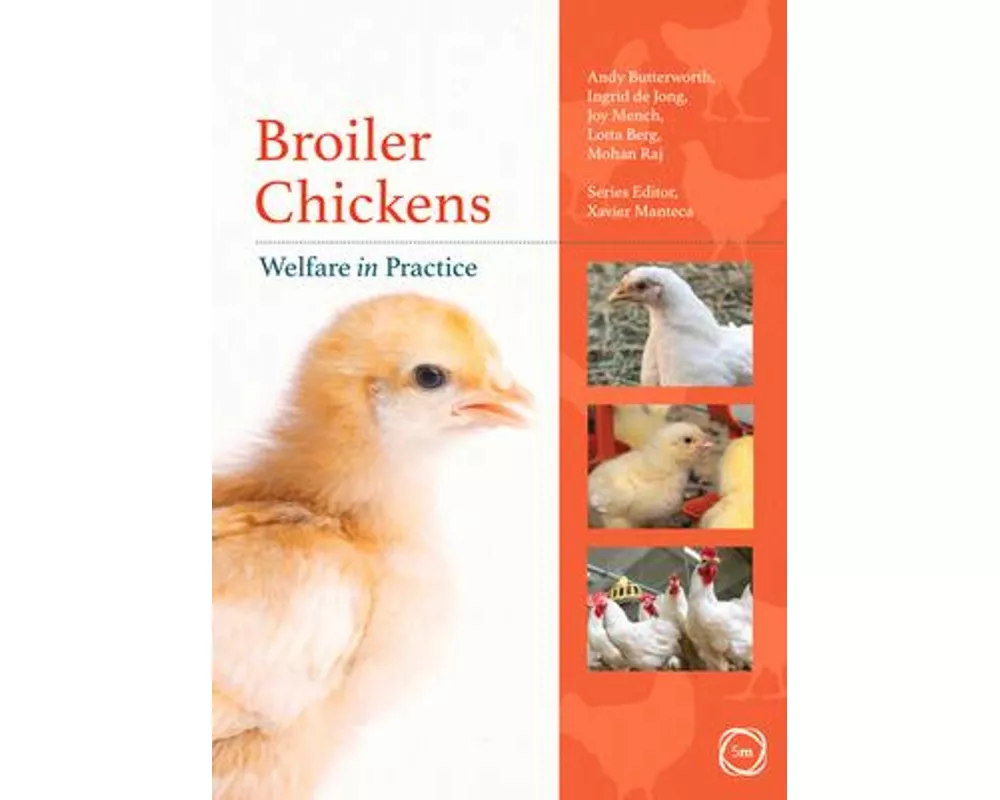 Broiler Chickens Welfare in Practice