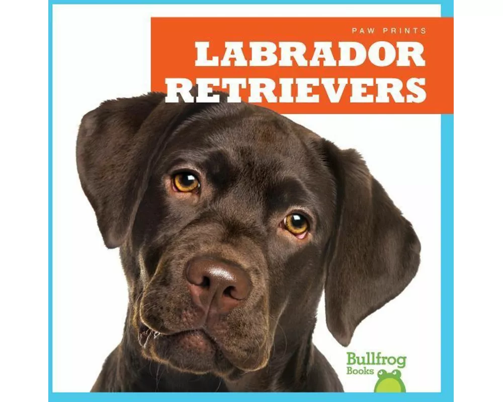 Labrador Retrievers