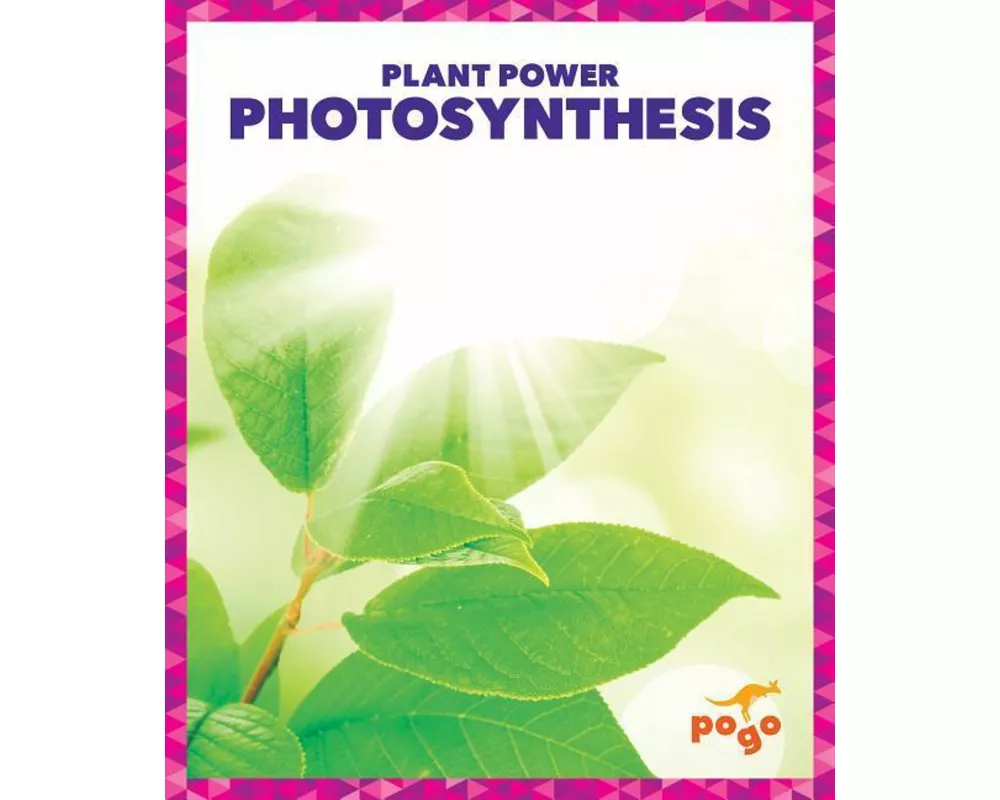 Photosynthesis