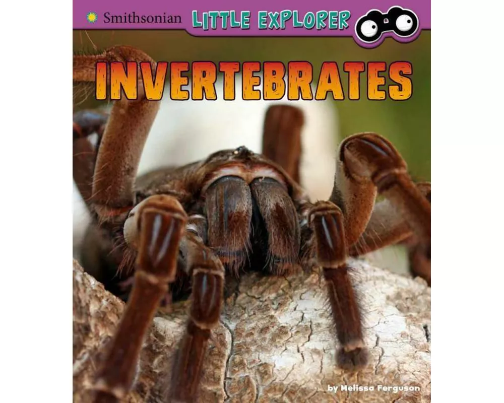 Invertebrates