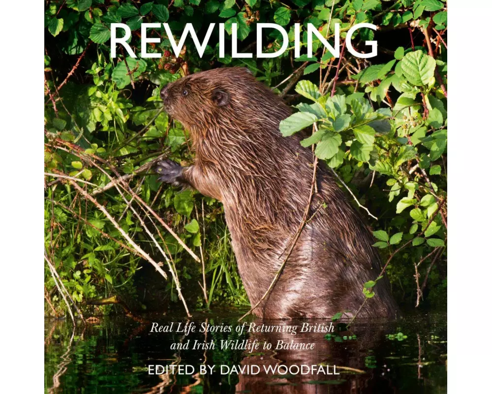 Rewilding