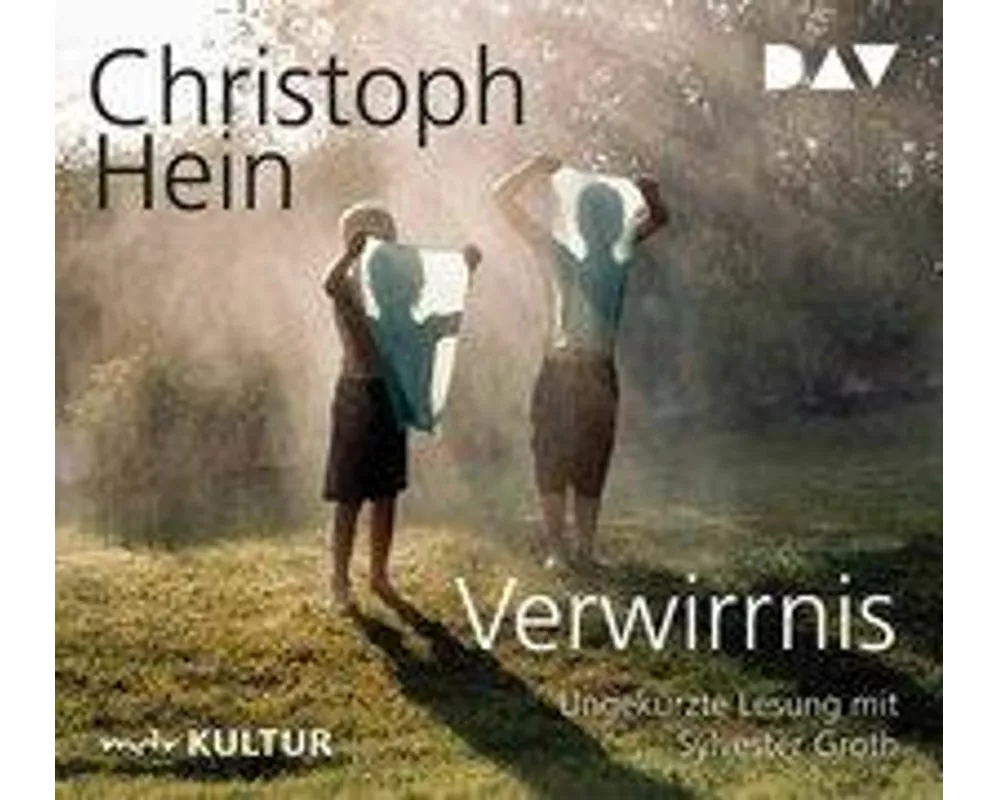 Verwirrnis