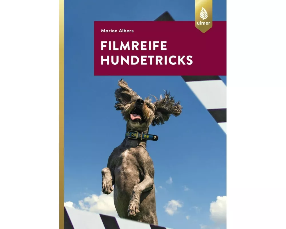 Filmreife Hundetricks