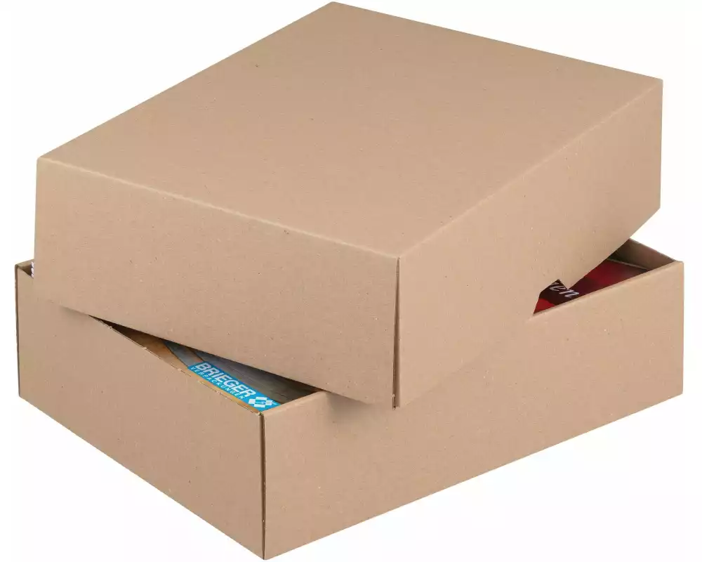 Brieger Versandkarton 301 x 213 x 45 mm, 1 Stück