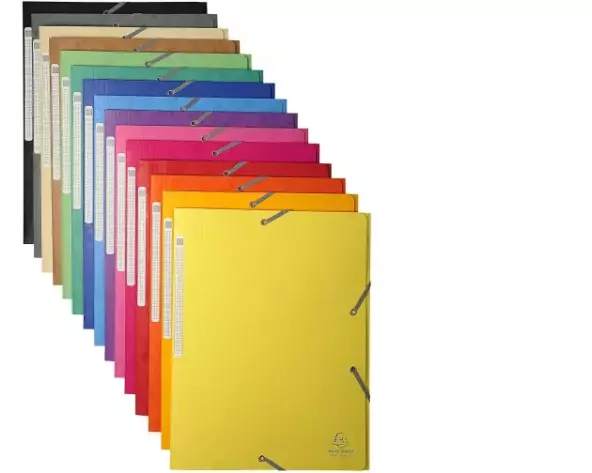 Exacompta Gummibandmappe Maxi A4 Grün