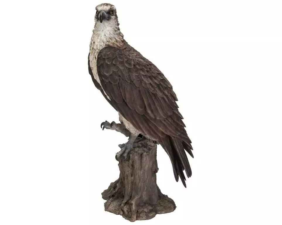 Vivid Arts Dekofigur Fischadler 39.5 cm