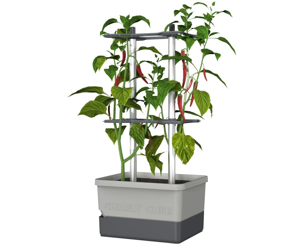 Gusta Garden Pflanzentopf CHARLY CHILI Starterset, Hellgrau