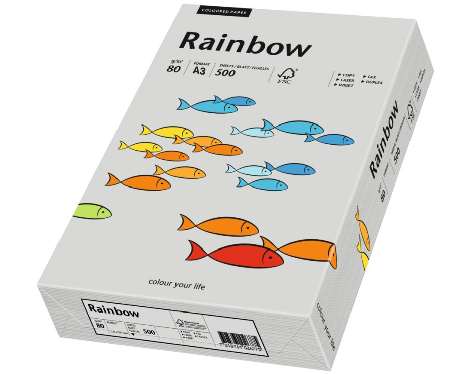 RAINBOW Papier grau/96 A3 88042808 FSC, 80g 500 Blatt