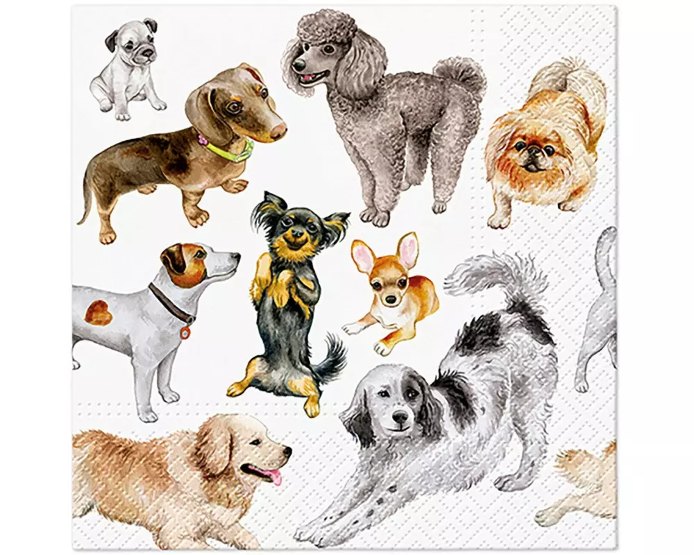 G. Wurm Papierservietten Hunde 33 cm x 33 cm, 20 Stück