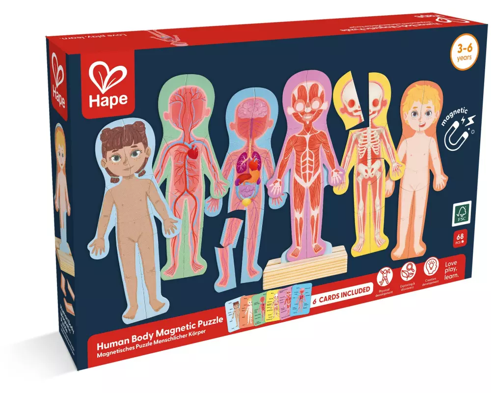 Hape Magnetisches Puzzle Menschlicher Körper