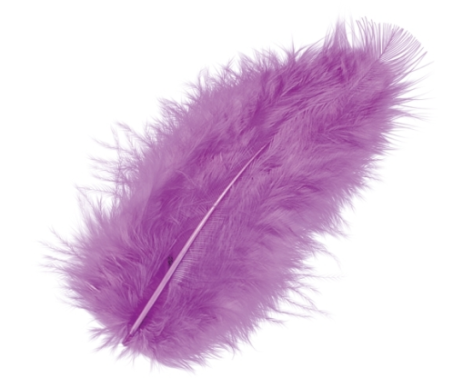 KNORR PRANDELL Marabufedern 10cm 6619282 violett 15 Stück