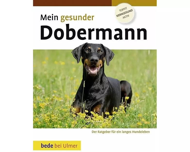 Mein gesunder Dobermann