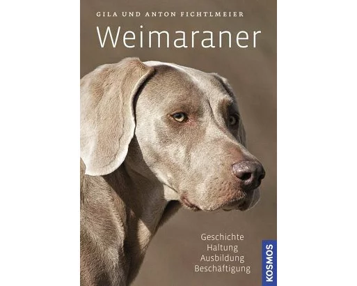 Weimaraner