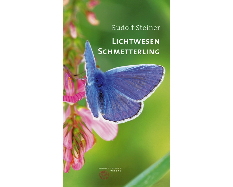 Lichtwesen Schmetterling