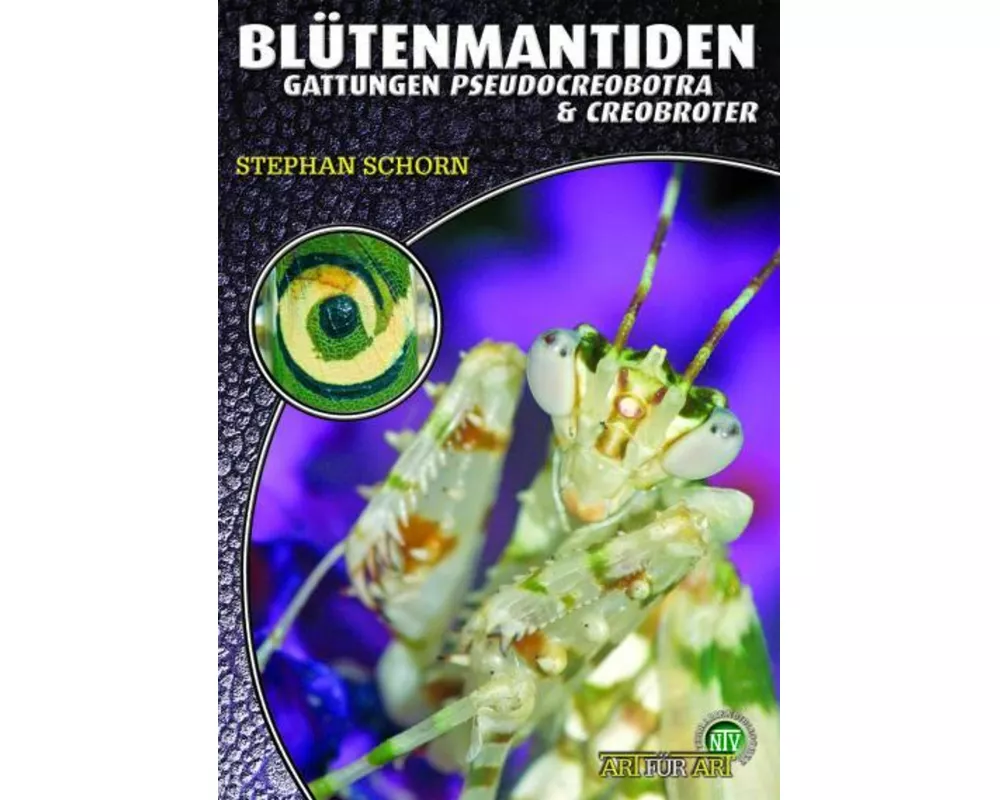 Blütenmantiden