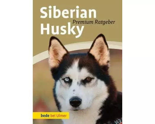 Siberian Husky