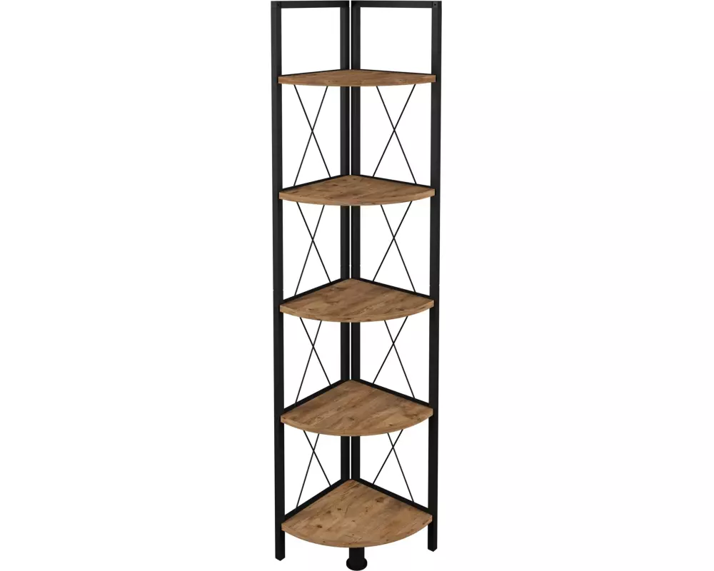 VCM Regal Insasi 5 34 x 160 cm, Honig-Eiche