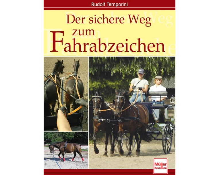 Der sichere Weg zum Fahrabzeichen