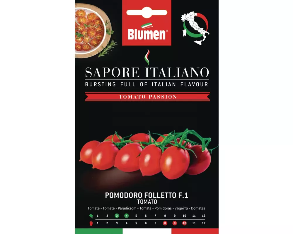 Blumen Samen Tomate Folletto F.1