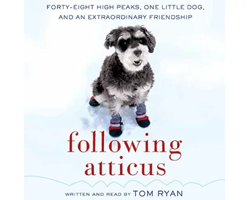 Following Atticus
