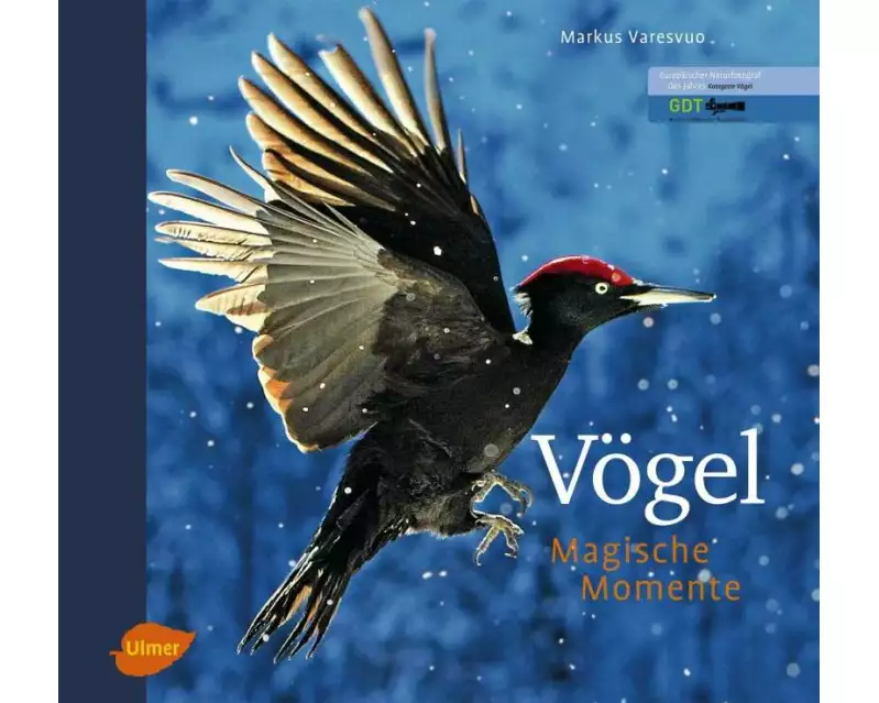 Vögel - Magische Momente