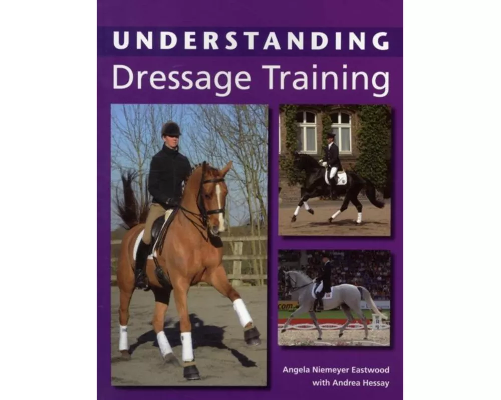 Understanding Dressage Training