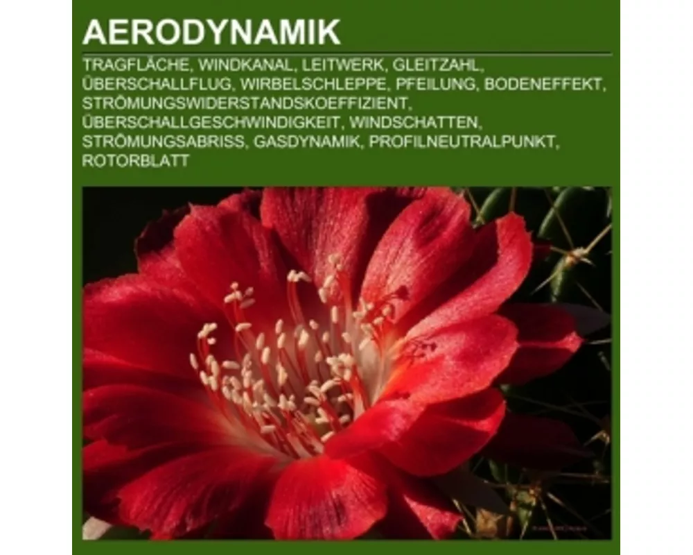 Aerodynamik