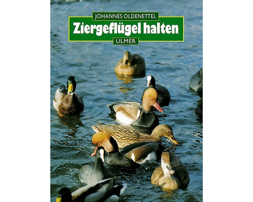 Ziergeflügel halten. Hühner- und Entenvögel