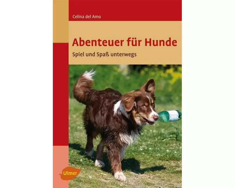 Abenteuer für Hunde