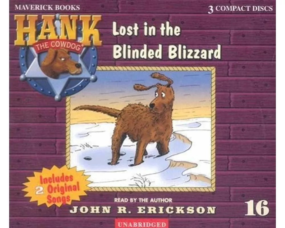 Lost in the Blinded Blizzard