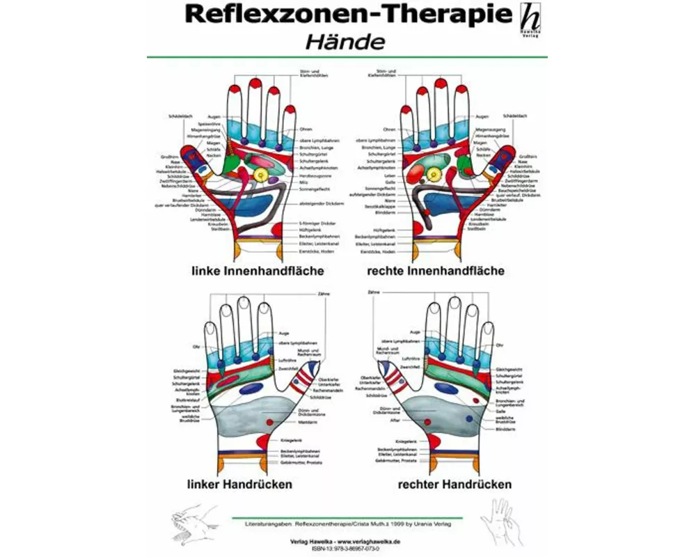 Reflexzonen-Therapie Mini-Poster - Hände DIN A4