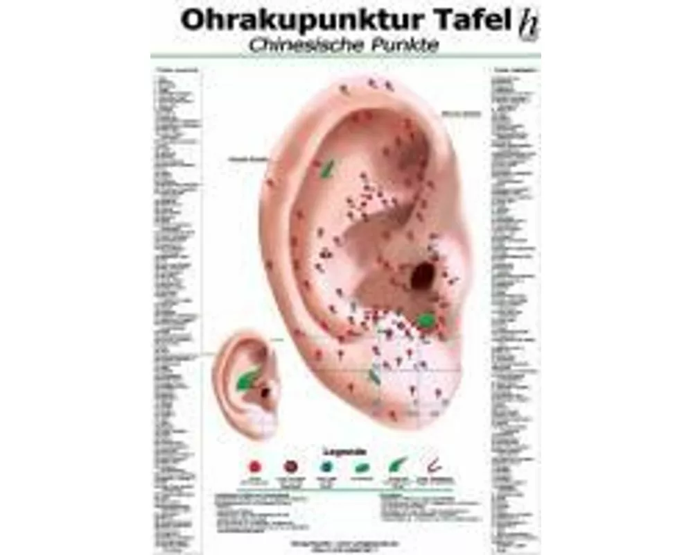 Ohrakupunktur-Tafel - chinesische Punkte