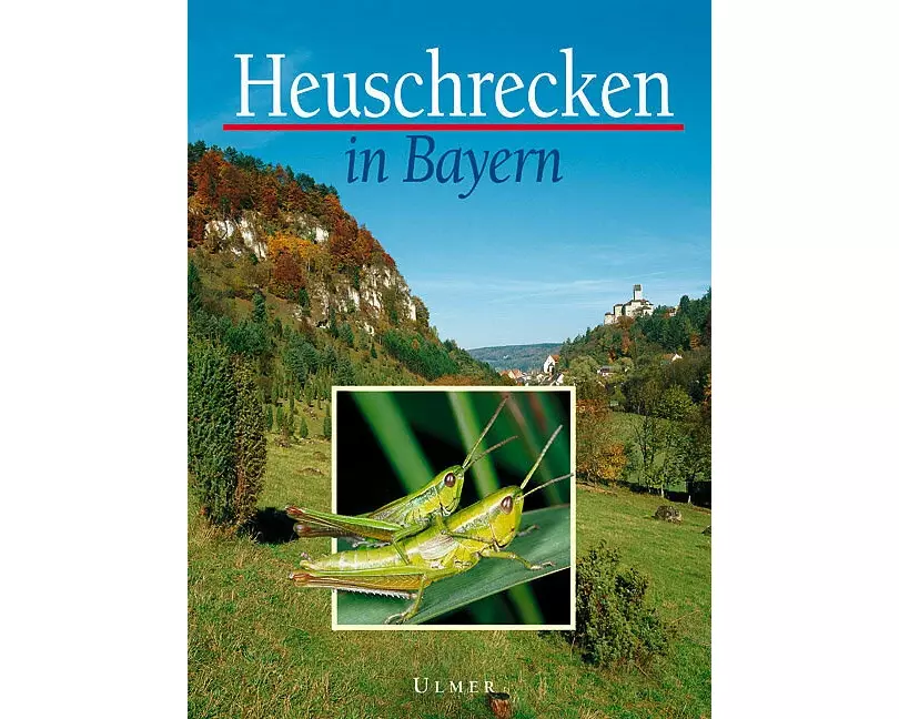 Heuschrecken in Bayern