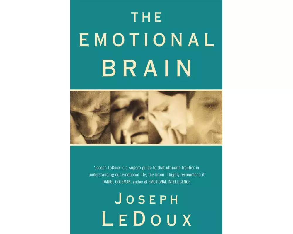 The Emotional Brain