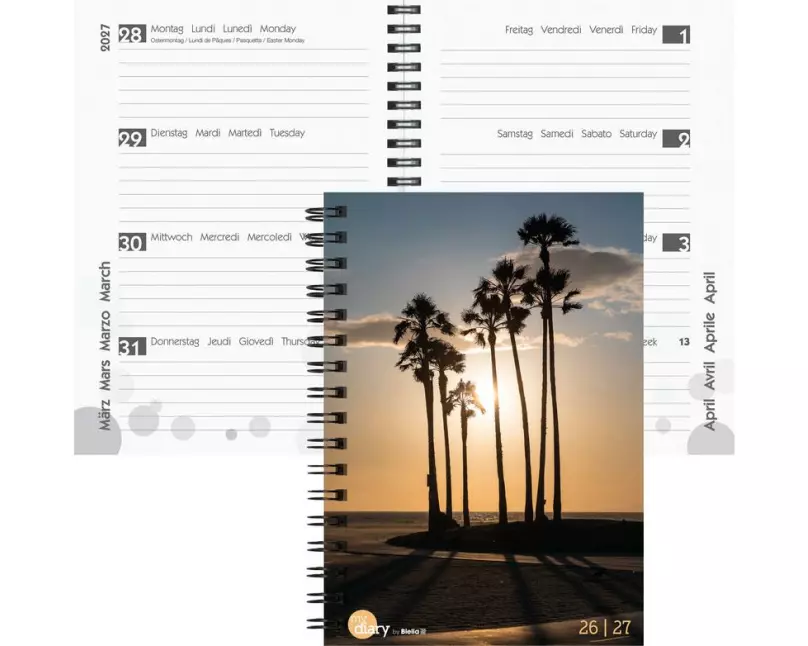 Biella Schulagenda mydiary Wire-O 2026/27 Palms, 14.5 x 20.5 cm