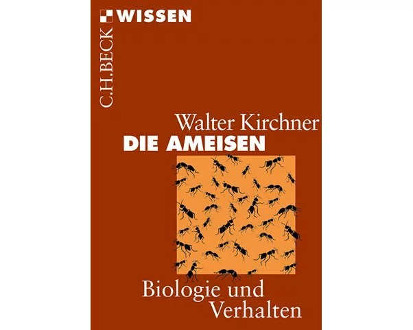 Die Ameisen