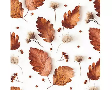 Braun + Company Papierservietten Soft Autumn Weiss, 20 Stück