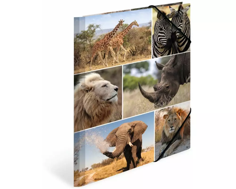 HERMA Gummibandmappe A4 Afrika, Karton, mit Innendruck