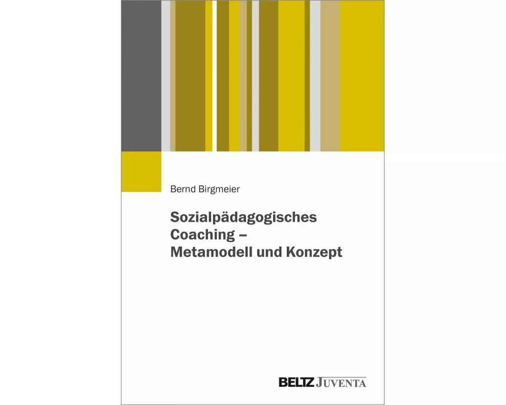 Sozialpädagogisches Coaching - Metamodell und Konzept