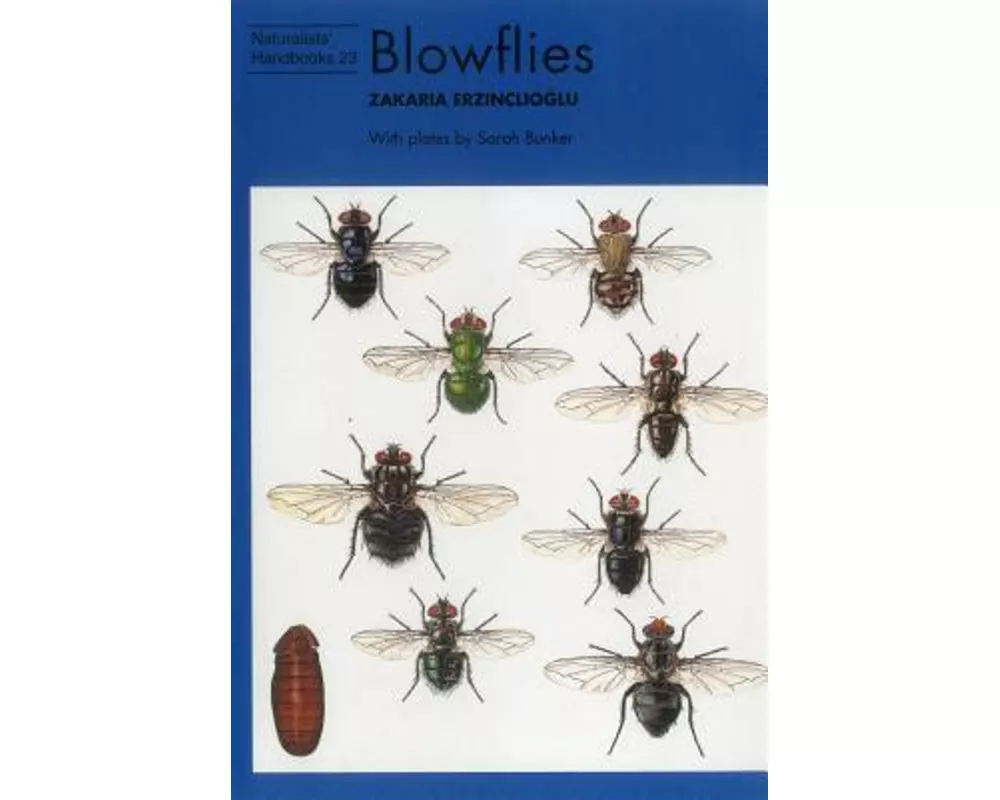 Blowflies
