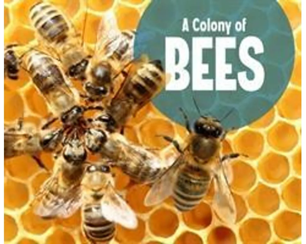 A Colony of Bees