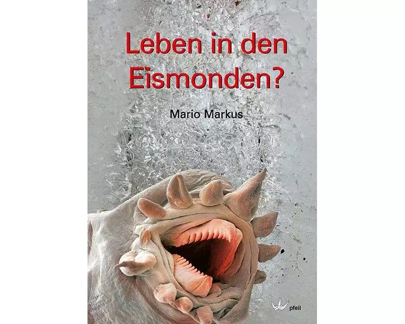 Leben in den Eismonden?