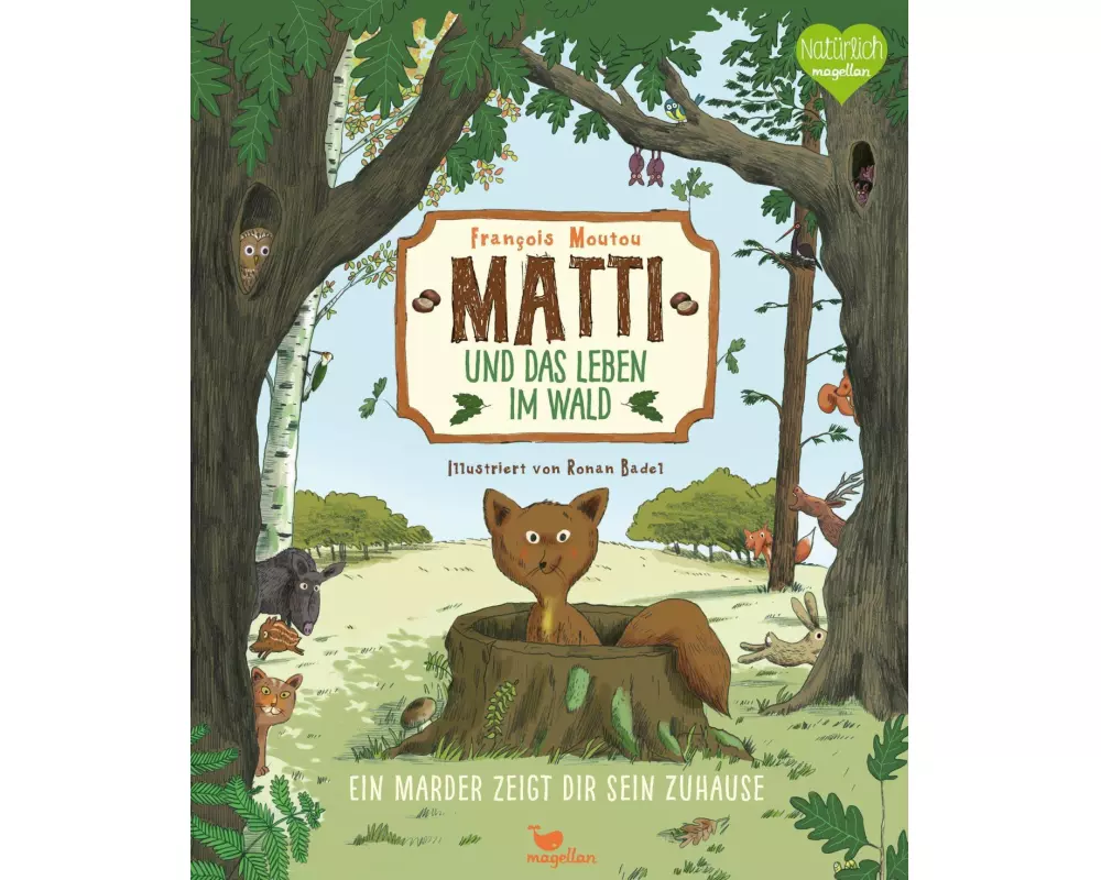 Matti und das Leben im Wald - Ein Marder zeigt dir sein Zuhause