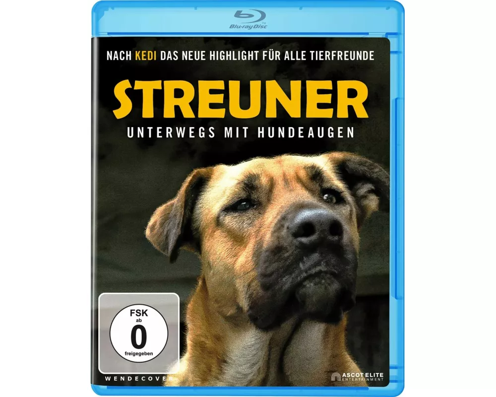 Streuner - Unterwegs mit Hundeaugen BR