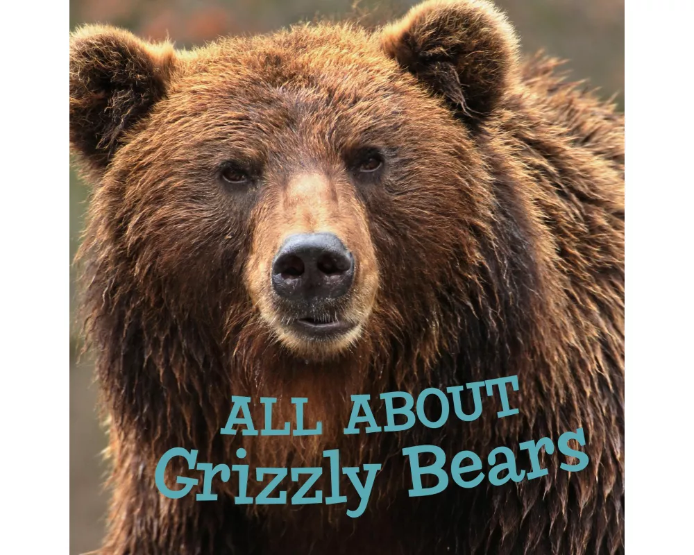 All about Grizzly Bears