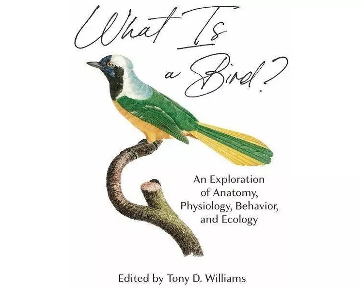 What Is a Bird?