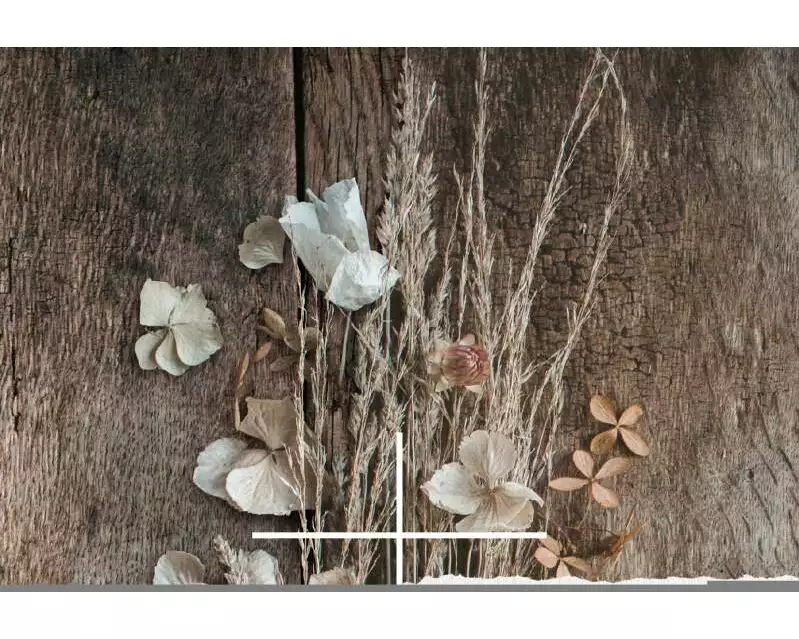 Blühende Worte. Die Bibel