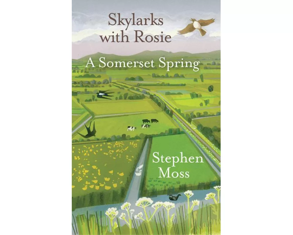 Skylarks with Rosie