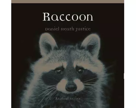 Raccoon