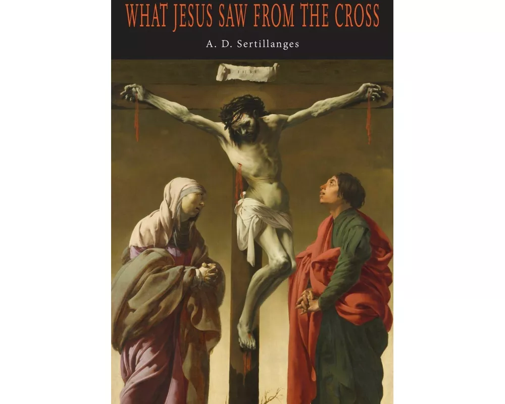 What Jesus Saw from the Cross